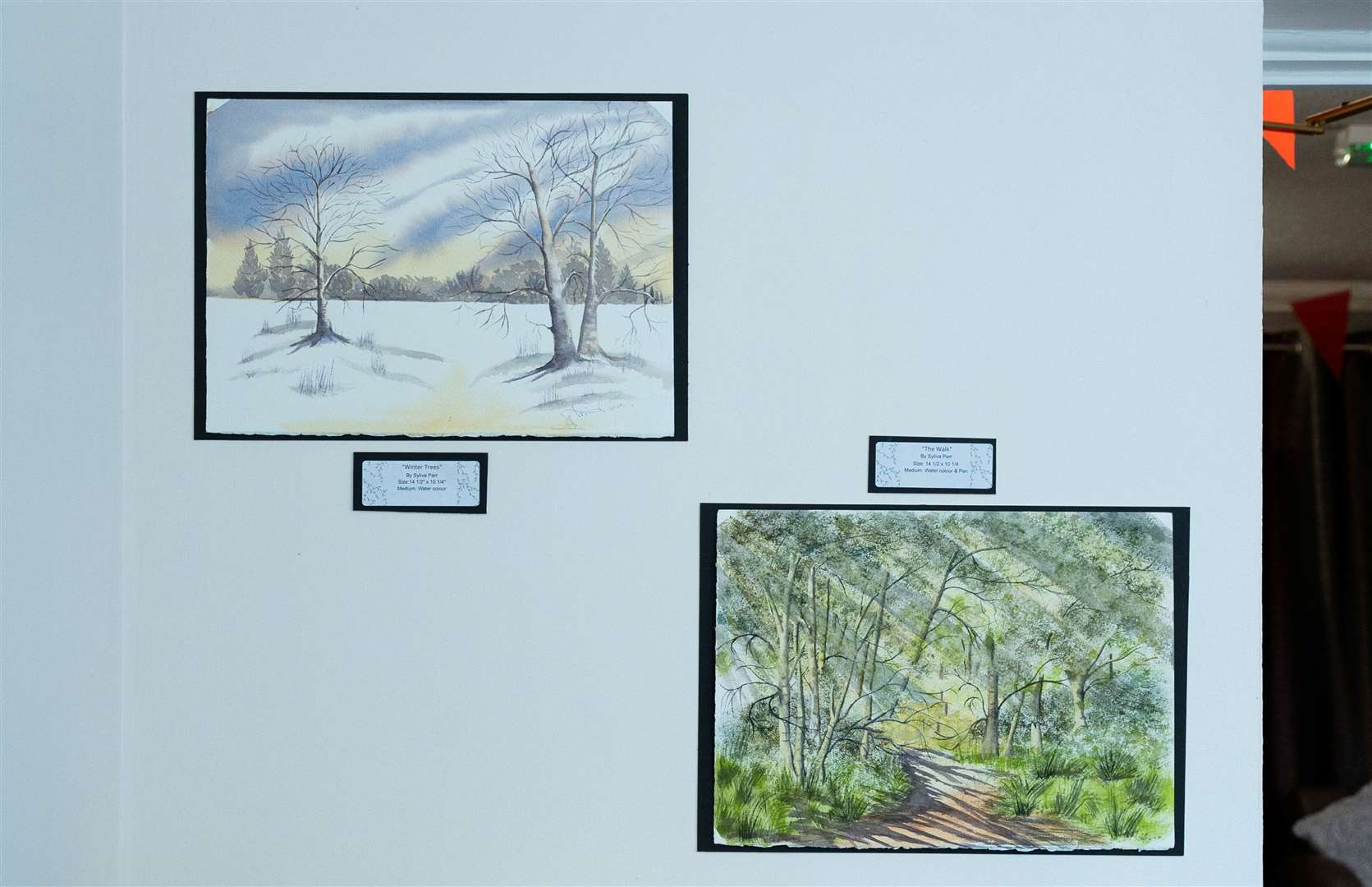 Some of the work by resident Sylvia Parr