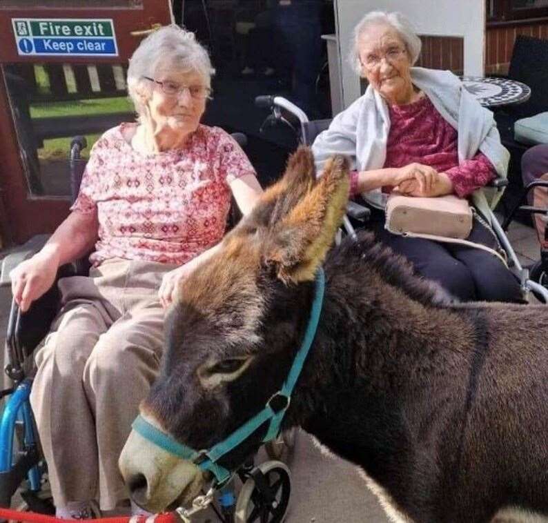 Residents Shelia Copsey and Sybil Butler enjoy the company of the donkeys. Picture: Larchwood Care