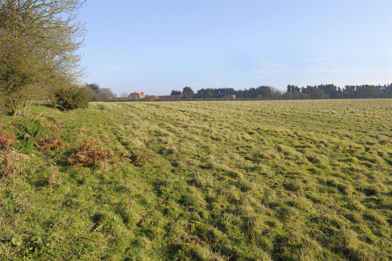 Part of the site of the major planning application to build almost 600 homes on the outskirts of Lynn