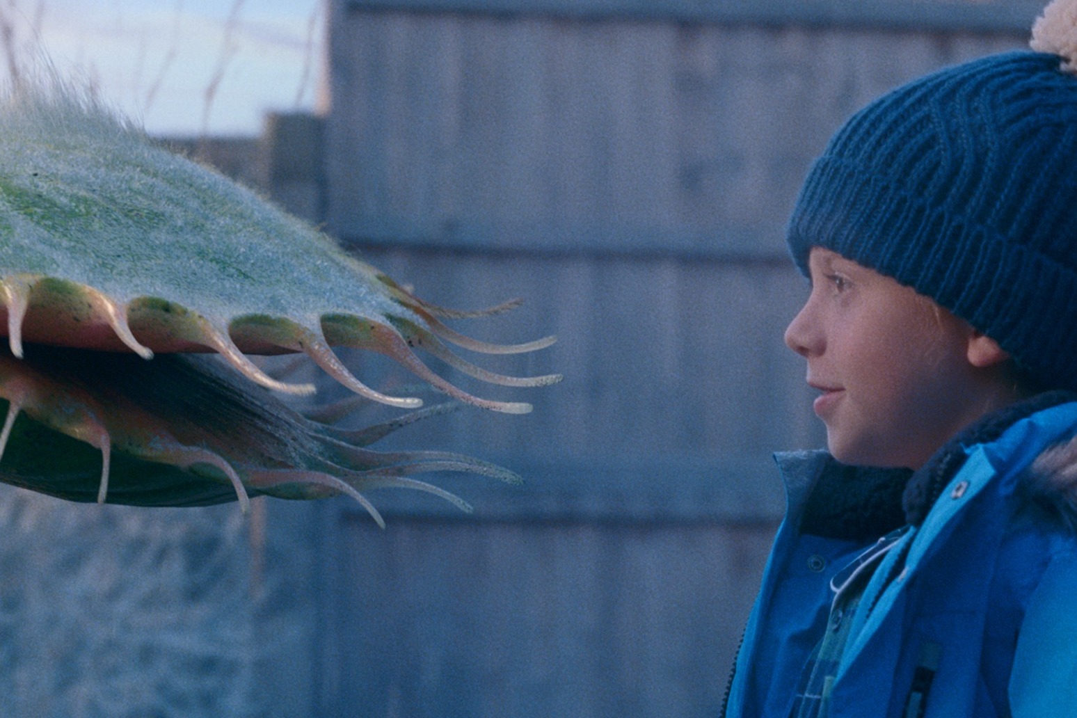 John Lewis turns to Snapper the mischievous Venus flytrap for festive ad 