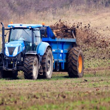 Labour sets 50% British food pledge to woo farmers