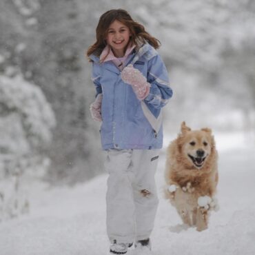 Study finds link between having a dog and girls’ physical activity