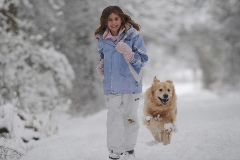 Study finds link between having a dog and girls’ physical activity