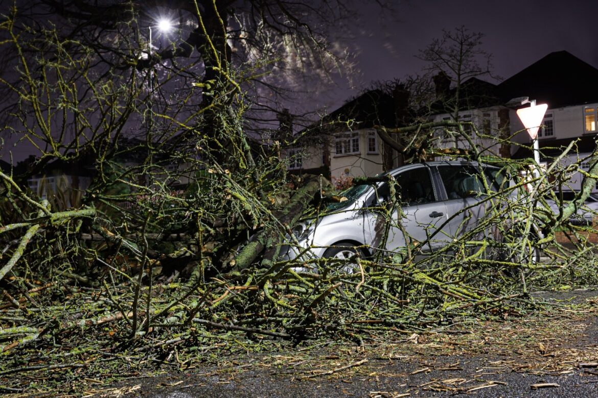 Woman hurt by falling tree as 94mph winds hit UK