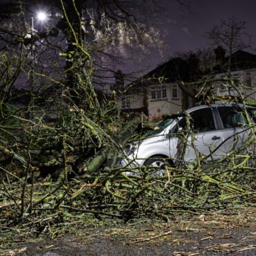 Woman hurt by falling tree as 94mph winds hit UK