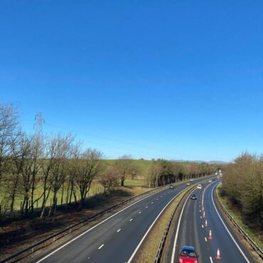 £2m Ash dieback battle