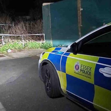 Man arrested after woman killed in dog attack