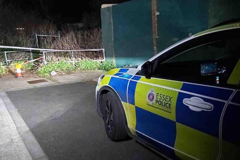 Man arrested after woman killed in dog attack