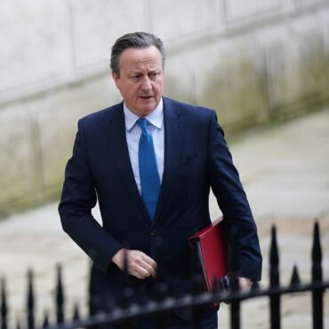 Cameron urges Israel to follow aid strike dismissals with independent review