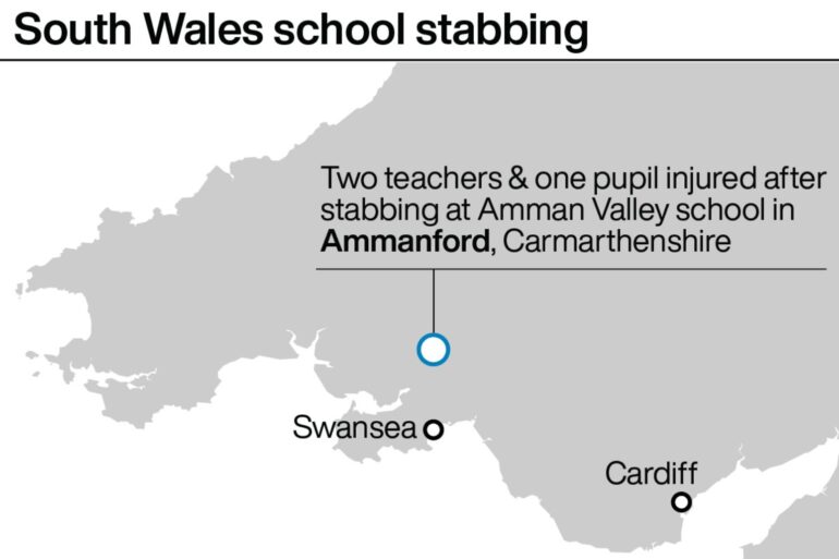 Teenager in court over school stabbing