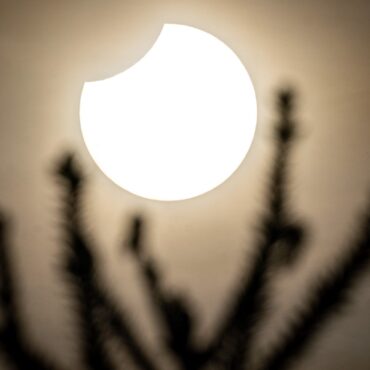 Total solar eclipse for North America