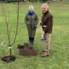 Wildlife and tree planting initiatives in town