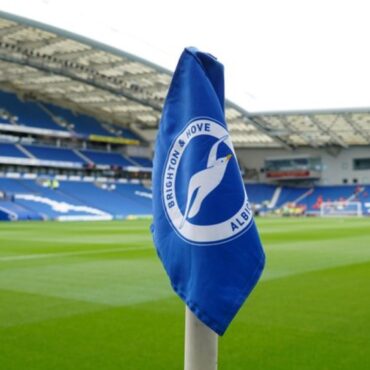 Brighton appoint Hurzeler as boss