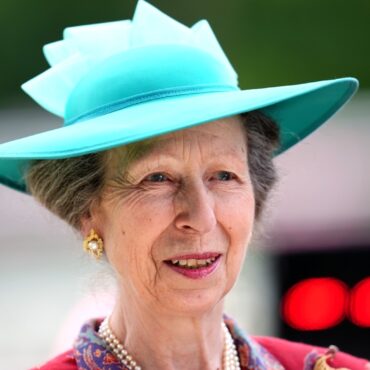 Princess Anne in hospital after minor injuries and concussion