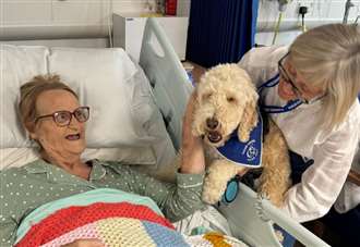 Ted brings smiles to patient’s faces at hospital as its new therapy dog