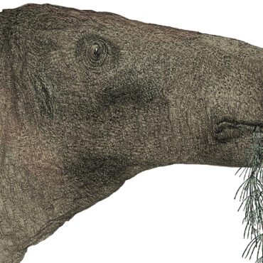 ‘Most complete dinosaur’ in a century unearthed in the Isle of Wight