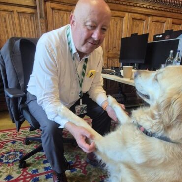 Parliamentary pup Jennie loves a ‘good lie down’ in the Commons chamber