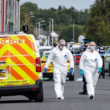 Two children dead and six critical following ‘horror movie’ stabbings