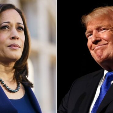 ABC says Trump and Harris have agreed to participate in a presidential debate