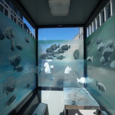 Bansky claims new swimming fish artwork on central London police box