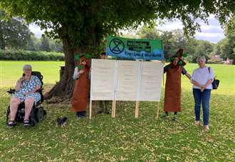 Calls for tree protection from environment group