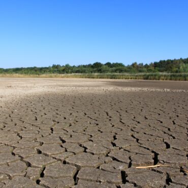 Drought is top threat for UK nature refuges as climate changes, charities warn