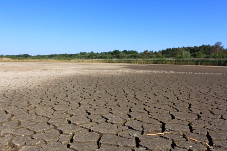 Drought is top threat for UK nature refuges as climate changes, charities warn