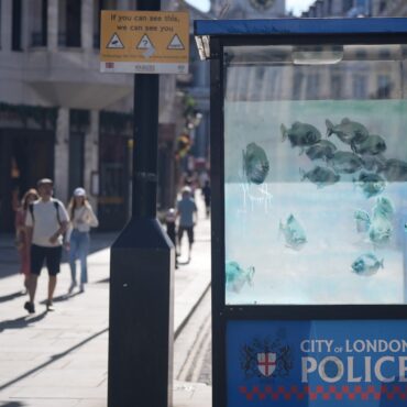 New swimming fish design on London police box thought to be latest Banksy