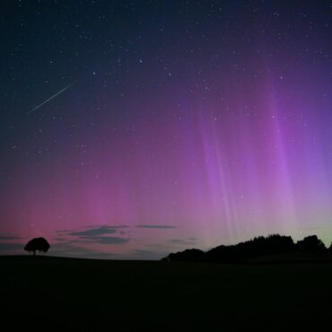 Perseid meteor shower to light up night sky