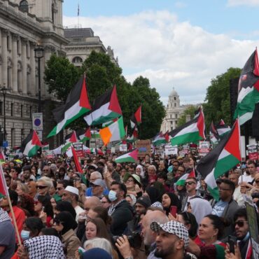 Thousands of Gaza protesters descend on Chicago for Democratic convention