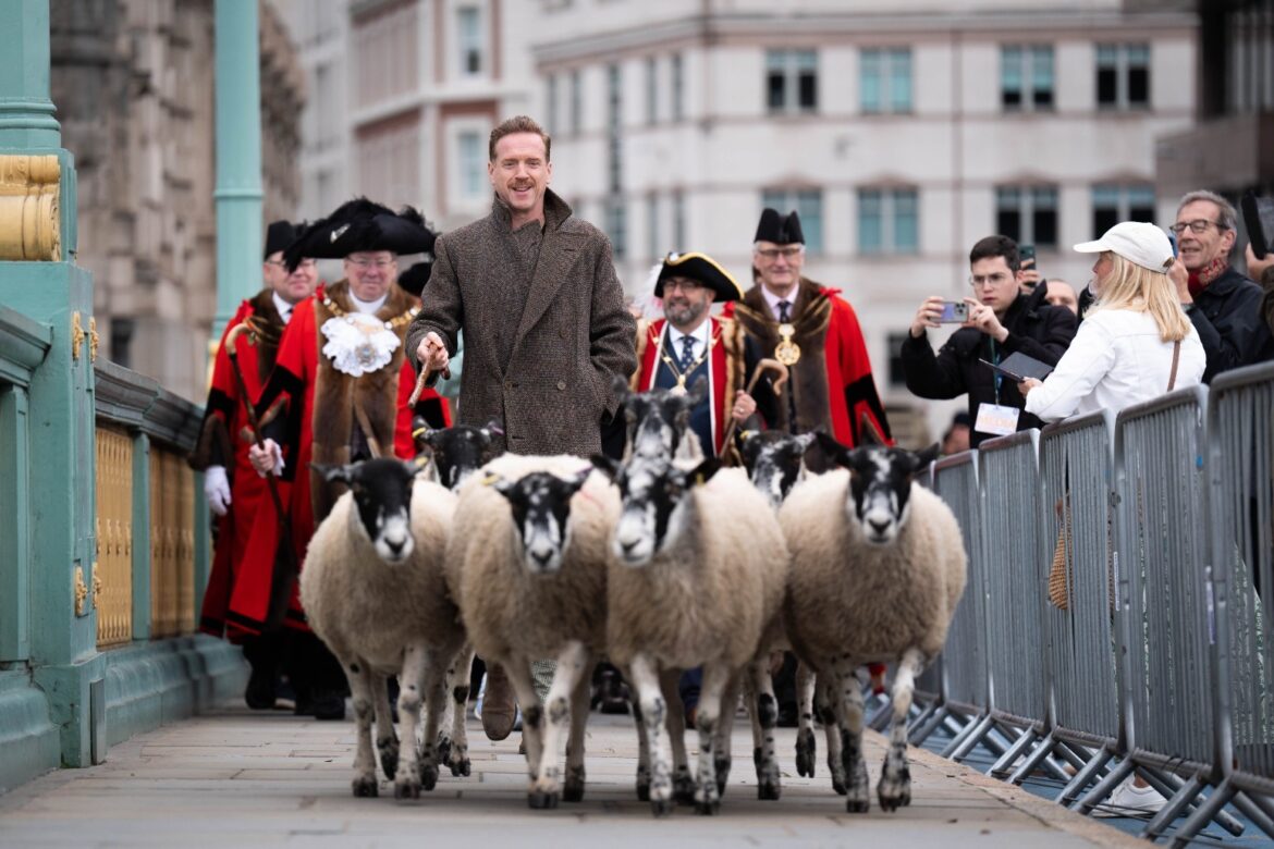 Hollywood’s Damian Lewis drives sheep over the Thames in ‘eccentric’ tradition