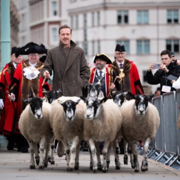 Hollywood’s Damian Lewis drives sheep over the Thames in ‘eccentric’ tradition