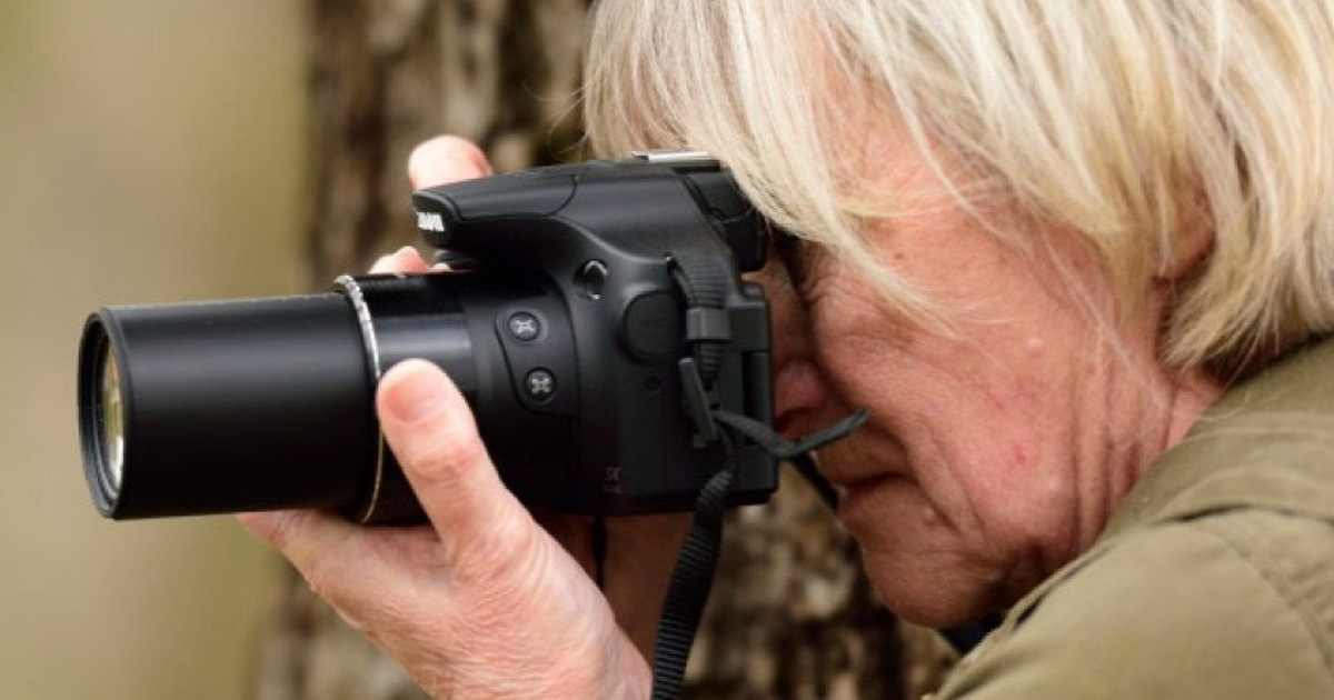 Wildlife Photography Workshop (Wader Specialty) - 6th October 2024