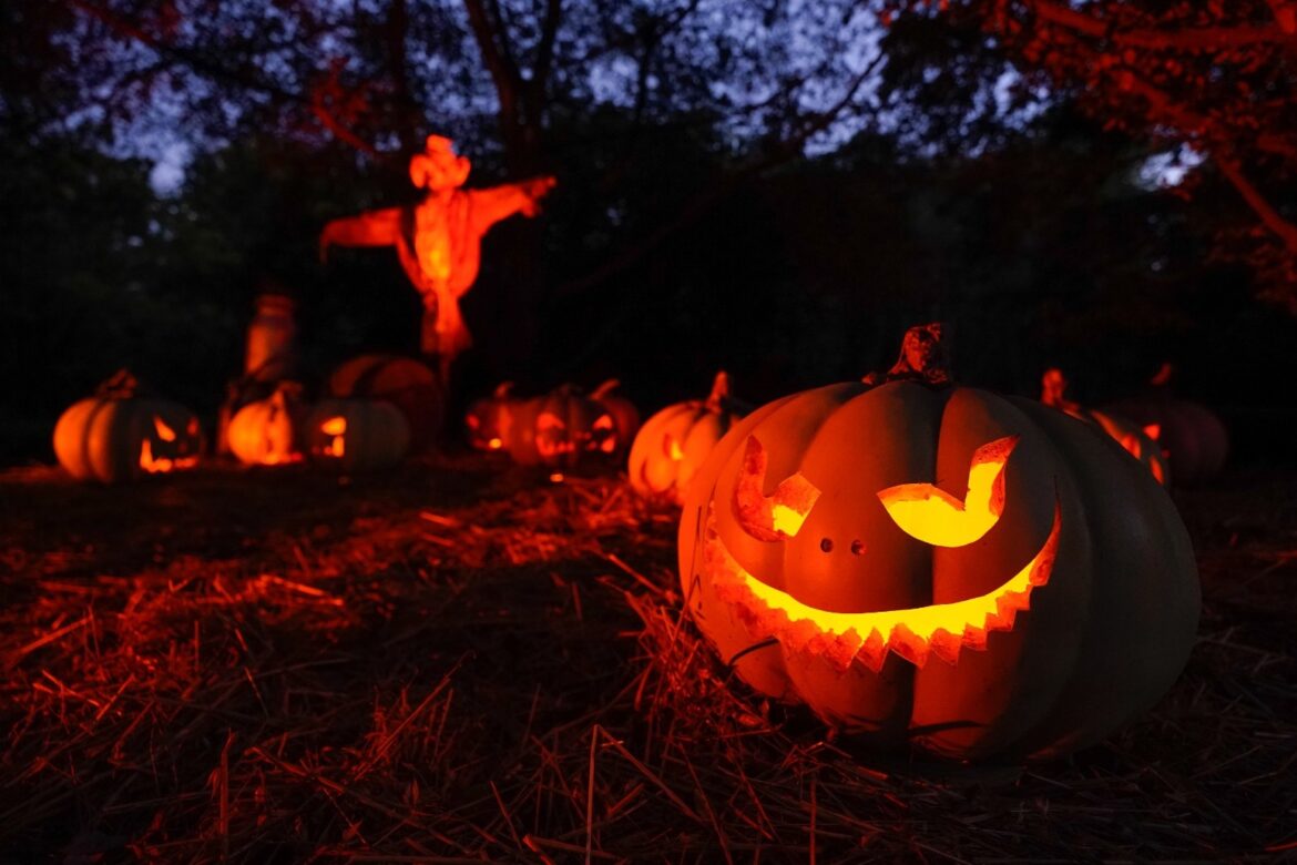 Dental surgeons say give children stickers instead of sweets on Halloween