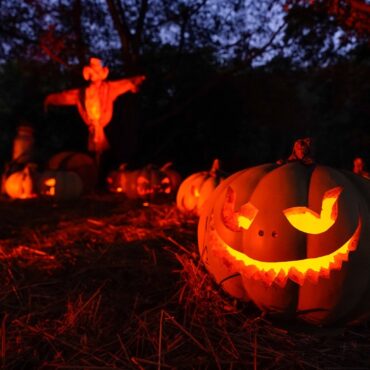 Dental surgeons say give children stickers instead of sweets on Halloween