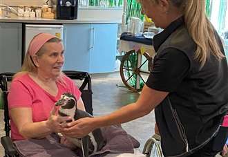 Dream come true for resident Susan as penguins flock into care home