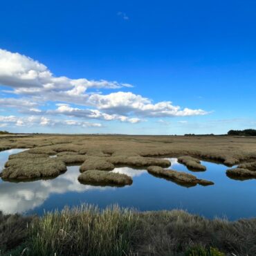 Government urged to launch industry specific plans to restore nature