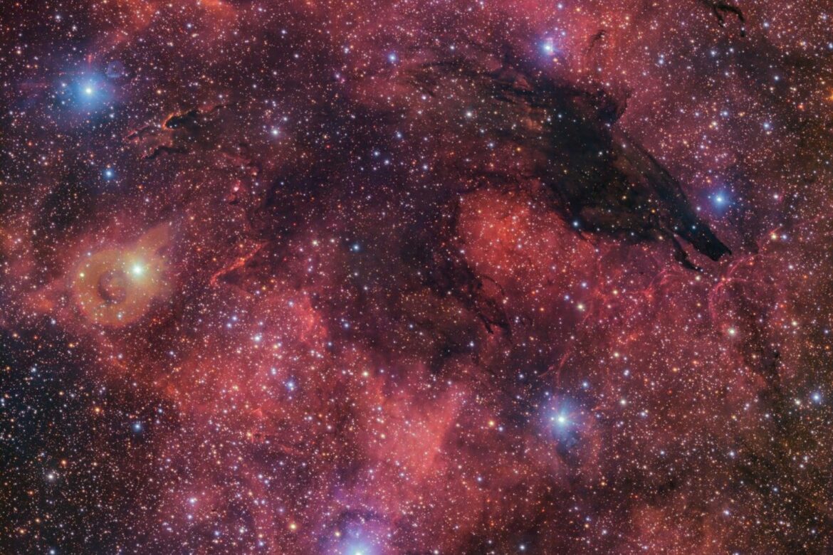 New image captures a dark wolf in the cosmic sky