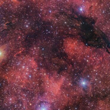 New image captures a dark wolf in the cosmic sky