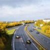 Three weeks of disruption on A47 as diseased trees are cut down