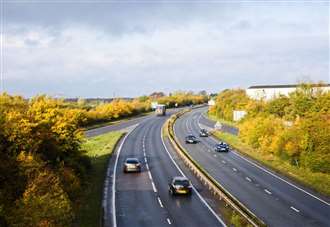 Three weeks of disruption on A47 as diseased trees are cut down