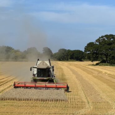 Tories Farmers will have to stump up hundreds of thousands of pounds