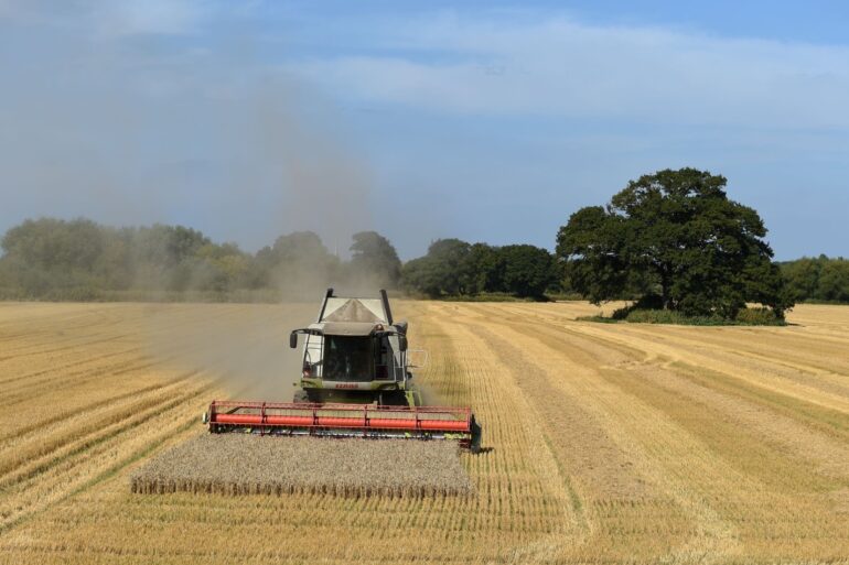 Tories Farmers will have to stump up hundreds of thousands of pounds