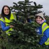 Tree Recycling For Charity