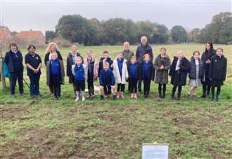 Sowing seeds for a new wildflower meadow