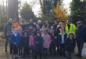 Spring bulbs set to make colourful display