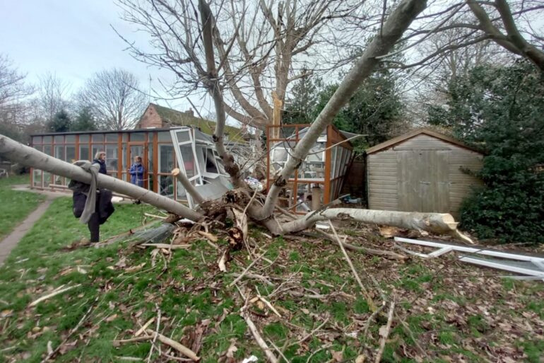 Cat sanctuary raises 12000 to restore a demolished pen after Storm Darragh