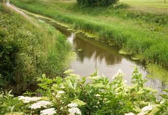 Hopes pinned on river study