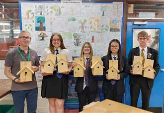 High school introduces bird nesting boxes to help combat wildlife decline