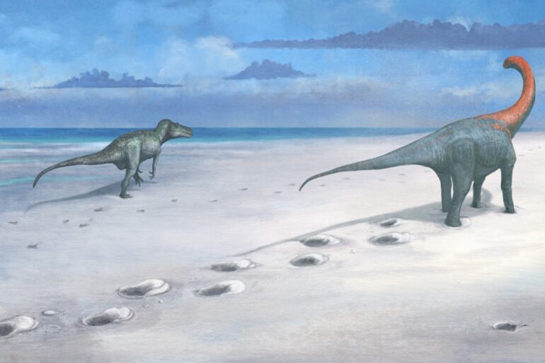 Hundreds of dinosaur footprints dating back 166 million years found in quarry